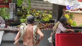 泰國,清邁,蟒蛇,雞,遊街。(圖/翻攝自泰國網)