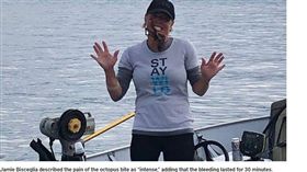 章魚,英國,德比,中毒（圖／翻攝自FOX NEWS）