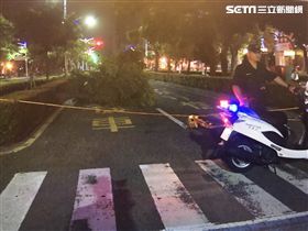 利奇馬,颱風,路樹,倒塌,災情