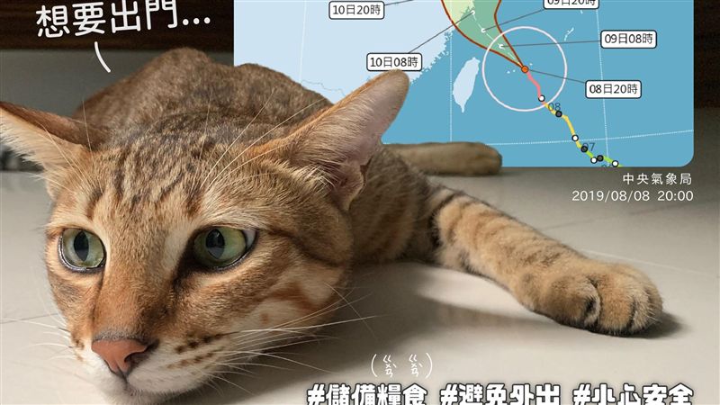 「小米」颱風天想出門玩　邁邁喊母湯