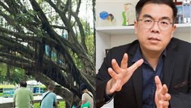 圖／資料照合成,彭啟明