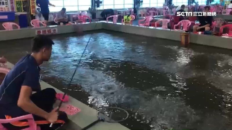 賺到颱風假！宜蘭釣蝦場湧民眾殺時間