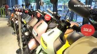 電動車補助縮水！明年買得多付這價錢