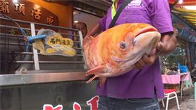 黃金大頭鰱, 石門水庫, 張文田, 漁民, 大壩頂活魚餐廳