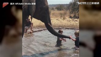 孩童與大象一起玩水　互相潑水超歡樂