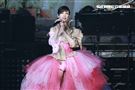 周慧敏「一萬天荒愛未老」出道30周年演唱會 。（圖／記者林士傑攝影）
