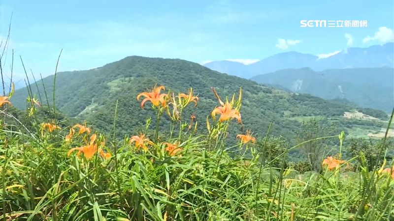 白衣女坐大石指路　女騎士深山迷途