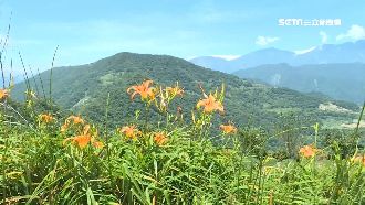 白衣女坐大石指路　女騎士深山迷途