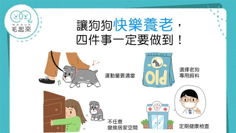 這4件事做到　讓狗狗快樂養老！