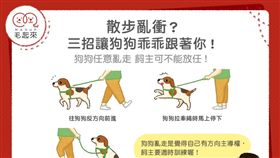 
名家專用／毛起來MAOUP（勿用）