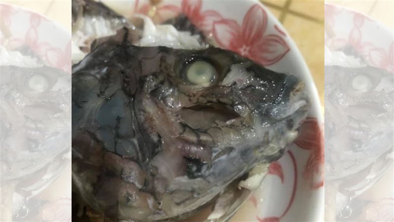 姪女愛吃魚眼睛！老饕讚內行：是精髓