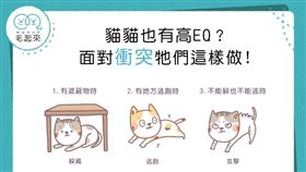 名家專用／毛起來MAOUP（勿用）