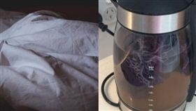 她渡假突月經報到　竟拿「飯店快煮壺沸騰帶血內褲」水變咖啡色網全吐！(圖/翻攝自Pixabay、Reddit)