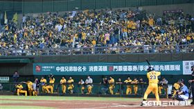 ▲ 中信兄弟彭政閔天母最終戰。（圖／記者王怡翔攝影）