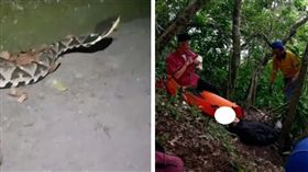 男台東遭百步蛇咬　友目睹毒發悲伴屍(合成圖／翻攝畫面、臉書)
