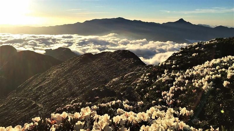 登山人必爬的台灣百岳TOP10！