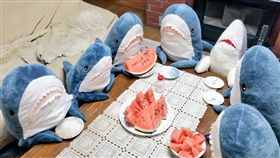 寵物,IKEA鯊魚,推特,日本。(圖/翻攝自推特)