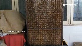 文 印瘋草冷氣1700