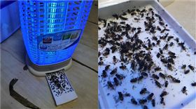 捕蚊燈。（圖／翻攝自《Costco好市多 商品經驗老實說》FB）