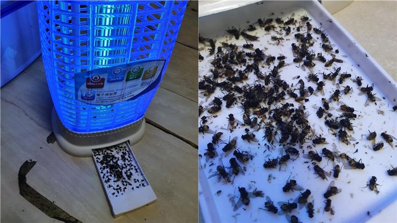 不是捕蚊燈！睡覺趕蚊子「1電器」更好用