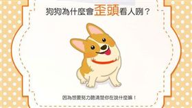 名家專用／毛起來MAOUP（勿用）