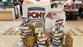 帆布鞋,PONY,餅乾鞋,SHOOTER帆布鞋