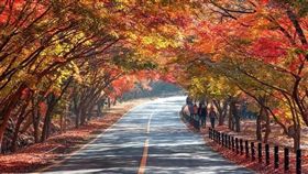 1 shutterstock_781513102.jpg