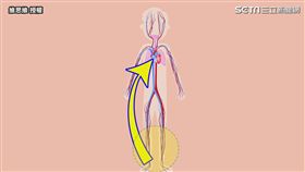 ▲腿部血液要透過靜脈回流到心臟。（圖／維思維  授權）