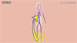 人體有第二個心臟！健康狀況全看它