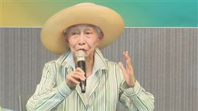 前國策顧問金美齡14日上午出席民進黨國際部召開「金美齡與陳柏惟世代對話」記者會。（圖／翻攝民進黨臉書）