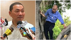 侯友宜,韓國瑜爬樹