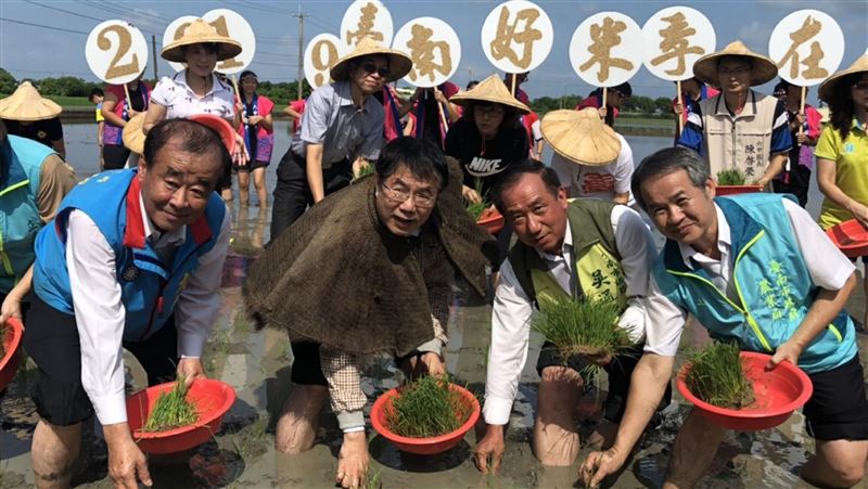 黃偉哲祭天插秧　台南彩繪稻田將亮相