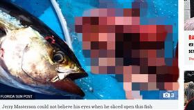 魚肚剖開噁見「陰莖睪丸」　佛州漁夫意外「釣」到謀殺案(圖/The Sun)