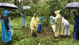 台南市，台南市刑大，大麻，毒品，製毒