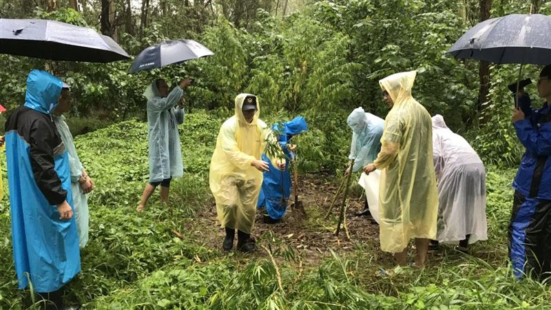 虎山農場驚見大麻園　這場景讓警傻眼