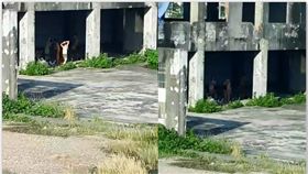 彰化,伸港路,廢墟,天體營,彰化踢爆網（圖／翻攝彰化踢爆網）