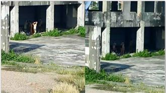 廢墟驚見人肉天體營？讓路過司機嚇壞