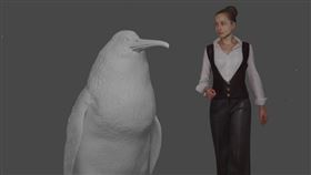 紐西蘭,南島,巨型企鵝化石,出土,身高(圖/facebook.com/canterburymuseum)