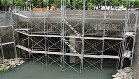 高雄市,鳳山圳滯洪池,黑水,死魚,施工(圖/中央社)