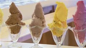 爆韓友人炫耀聚會影片 鄭佩芬:疑有女作陪