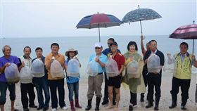 澎湖縣,水產種苗繁殖場,沙蟹苗,賴峰偉,親自放流(圖/中央社)