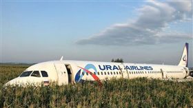  俄羅斯,客機,玉米田,迫降,奇蹟。(圖/翻攝自dailymail)