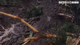 阿里山森林鐵路軌道損壞停駛4天