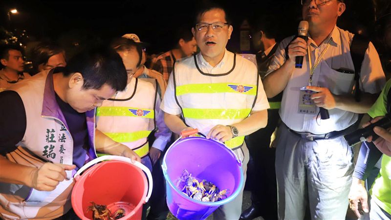 林佳龍墾丁護蟹過馬路　籲用路人減速