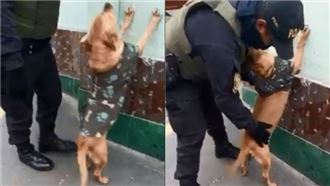 浪浪愛角色扮演　一秒入戲警察全笑翻