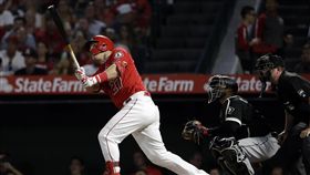 ▲楚奧特（Mike Trout）敲出本季第40轟。（圖／美聯社）