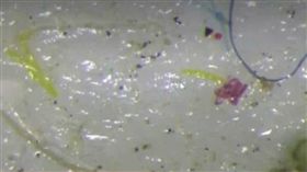 塑膠微粒無所不在! 雨滴.極圈浮冰都有