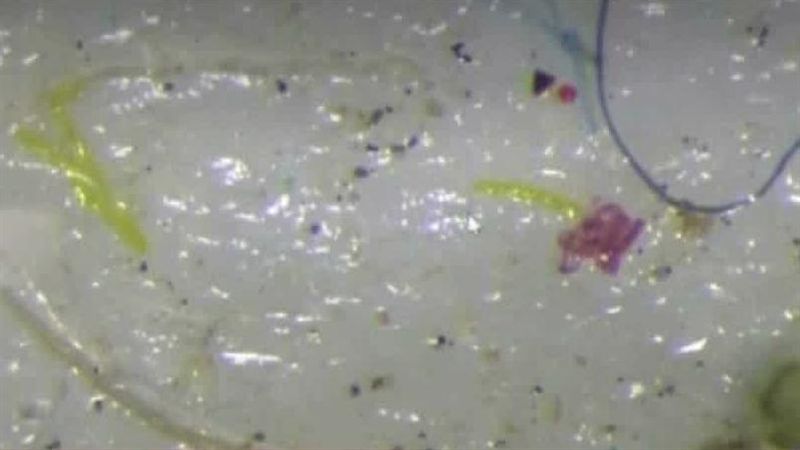 塑膠微粒無所不在！雨滴、極圈都有