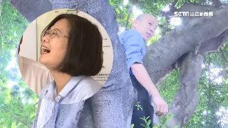 英嘴角失守！蚊蟲實驗室：滅蚊免爬樹