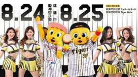 阪神甲子園球場與中信兄弟合作主題日。（圖／中信兄弟提供）